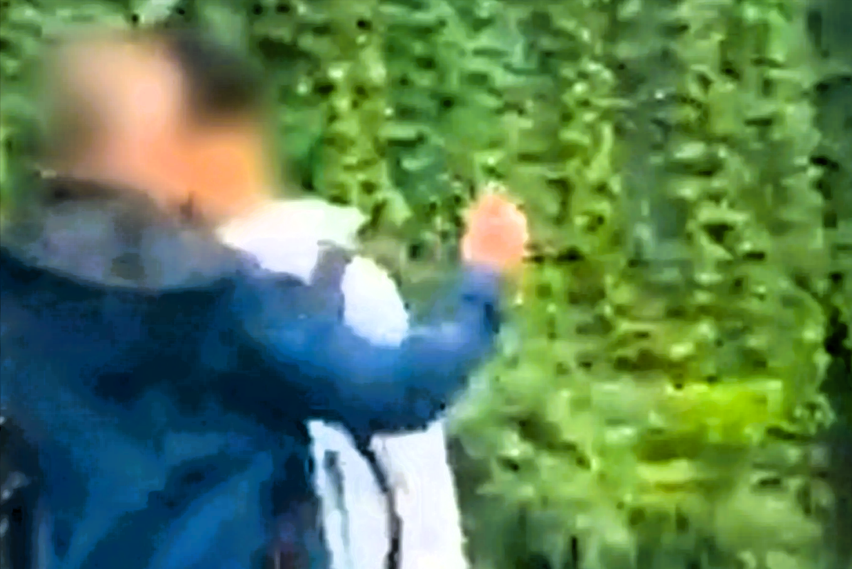 Schüler verprügeln Lehrer! Schlägerei wegen Palästinenserflagge an Schule - Behörden äußern sich zu Vorfall